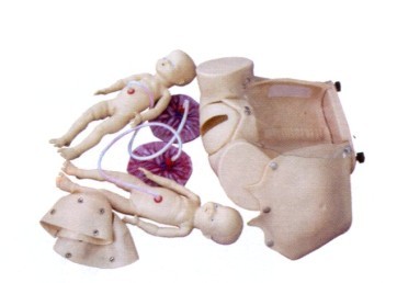 �߼�����C��ʾ��ģ��