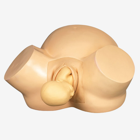 �߼����aӖ��ģ��